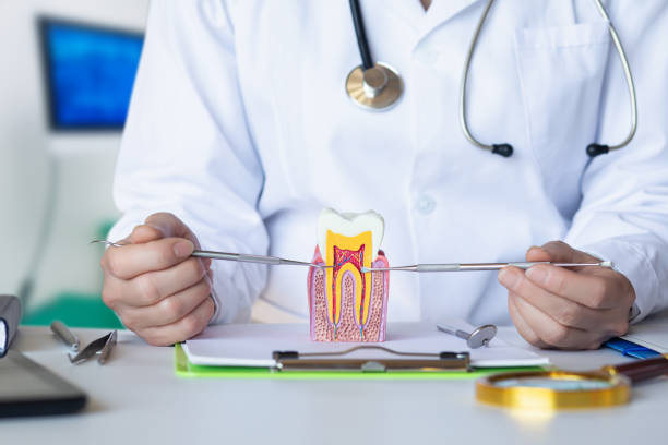 Best Emergency Treatment for Dental Infections or Abscesses in Big Beaver, PA